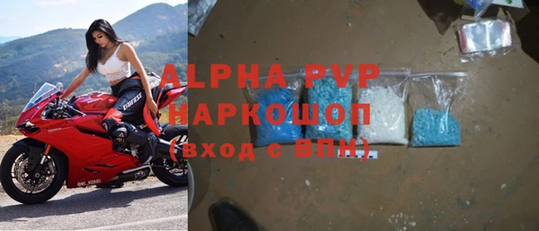 амф Бородино