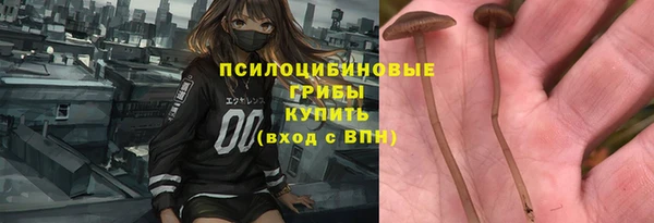 ПСИЛОЦИБИНОВЫЕ ГРИБЫ Бугульма