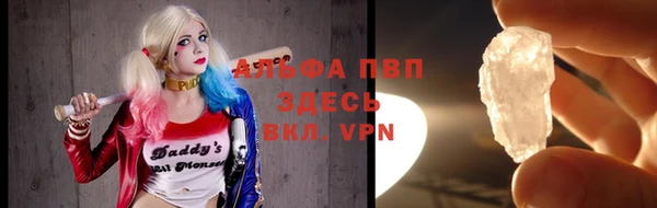 амф Бородино