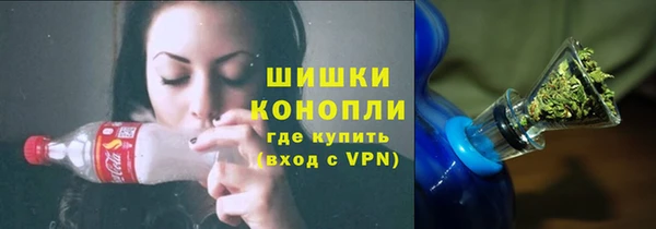 амф Бородино
