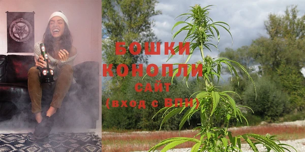 ПСИЛОЦИБИНОВЫЕ ГРИБЫ Бугульма