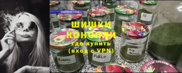 амф Бородино